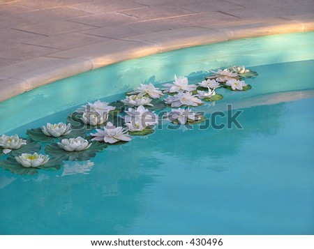 stock photo detail of pool at wedding reception