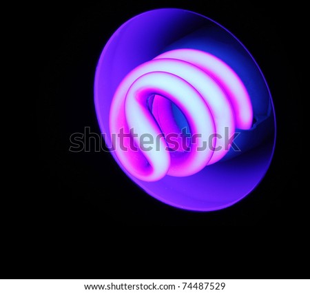 Light Lamp on Uv Light Bulb Stock Photo 74487529   Shutterstock