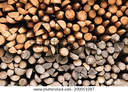 pile of wood with different colors