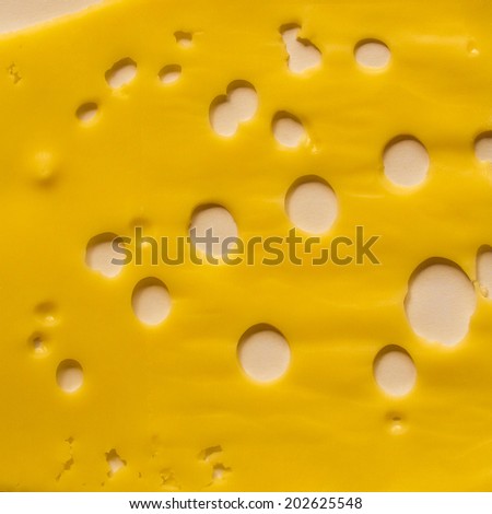 Emmental medium hard yellow cheese from Europe