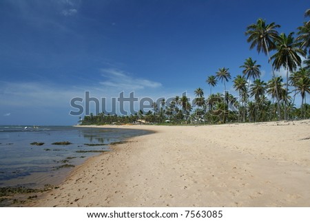 Praia do Forte, a prestigious tropical beach located near Salvador, Bahia, Brazil