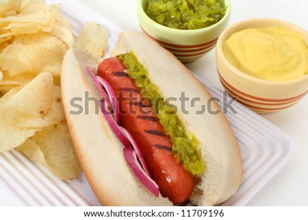 Gourmet Hot Dog served with mustard, onions, sweet relish and potato chips