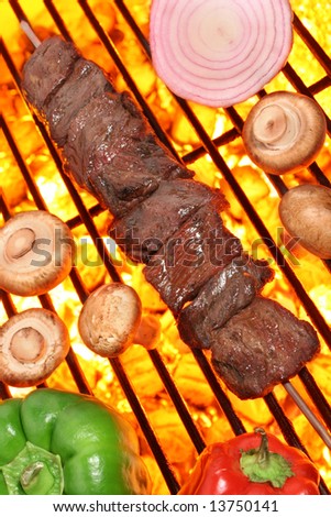 Beef shish kebab veggies on a fire hot barbecue grill.