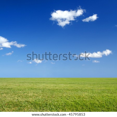 A vast field with green grass and blue sky. Eco-friendly or environmentally friendly concept.