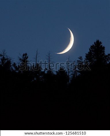 Moon nightscape, waxing / waning crescent moon phase with silhouette forest pine trees and midnight blue sky cresent