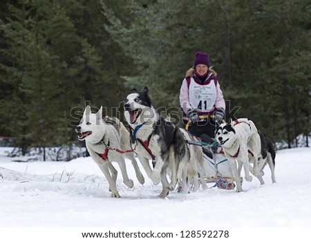CONCONULLY, WASHINGTON - JANUARY 24:  Driver Mary Jane Davis and Team compete in the Snow Dog Super Mush Dog Sled Race on Jan 24, 2010 in Conconully, Washington