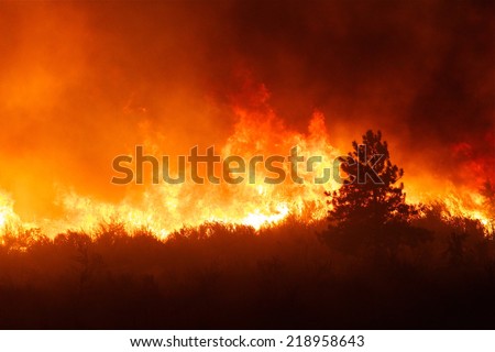 Intense flames from a massive forest fire. Flames light up the night as they rage thru pine forests and sage brush. The Carlton Complex wild fire was Washington state\'s largest fire in history.