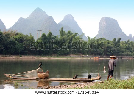 Chinese man fishing with cormorants birds in Yangshuo, traditional fishing use trained cormorants to fish, China