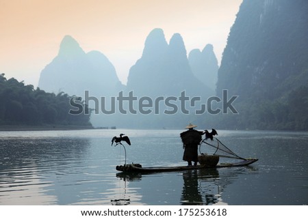 Chinese man fishing with cormorants birds in Yangshuo, Guangxi region, traditional fishing use trained cormorants to fish, China