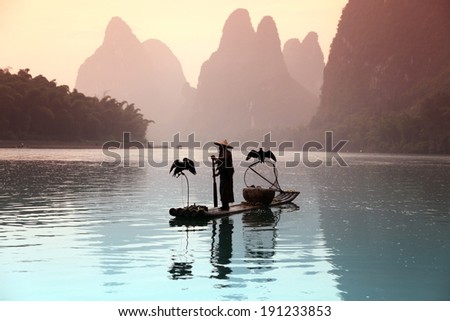 Chinese man fishing with cormorants birds traditional fishing use trained cormorants to fish,  China