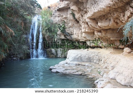 The Waterfall in national park Ein Gedi at the Dead Sea, Israel