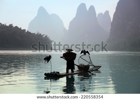 Chinese man fishing with cormorants birds , traditional fishing use trained cormorants to fish,  China