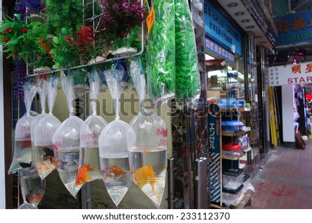 HONG KONG-NOVEMBER 21 : Gold fish shop in Fish Market on 21 Novemer 2014 in Hong Kong, China. Hong Kong Gold fish market in Tung Choi street is famous for tourists.