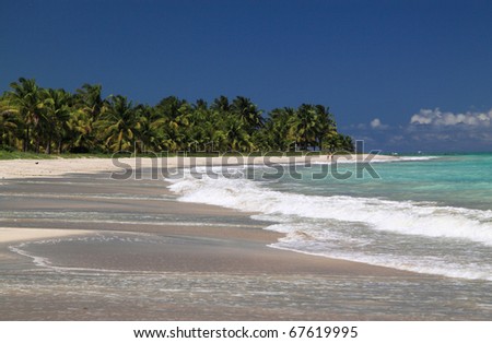 Brazil Alagoas State Maceio deserted exotic tropical palm lined beach with turquoise ocean
