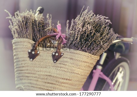 Lavender in basket on a bike