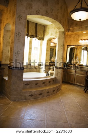 Luxury Bath on Luxury Bathroom Stock Photo 2293683   Shutterstock