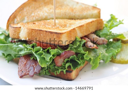 BLT signature gourmet sandwich