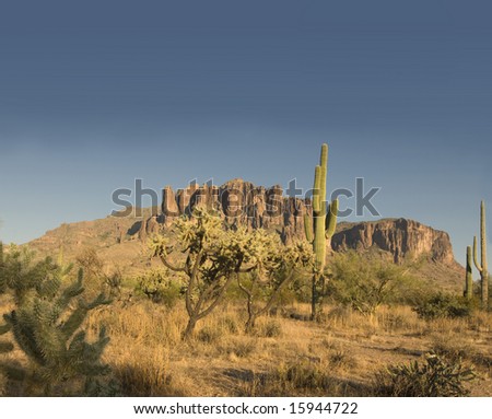 Beautiful Arizona Landscape