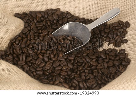 Close up of silver coffee bean shovel and canvas sack