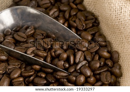 Coffee beans and silver dispenser shovel on rustic canvas texture