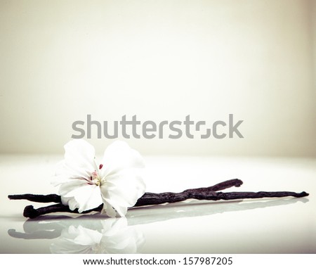Vanilla Bean And Flower