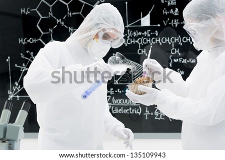 side-view of two people in a laboratory testing and applying genetic techniques on mushrooms with a blackboard on the background