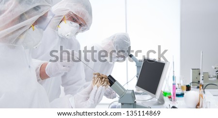 close up of two people around a lab table testing and applying genetic techniques on mushrooms and another man analysing molecules under the microscope