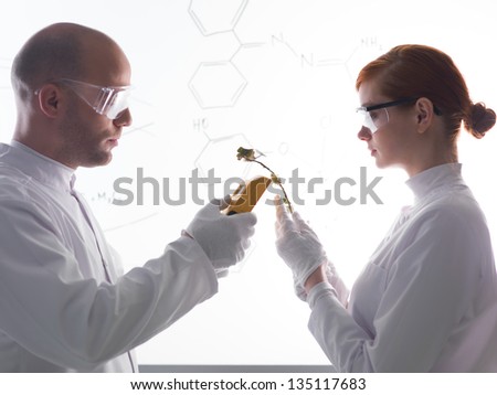 close-up of people scaning plants in a chemistry lab with a white-board on the background