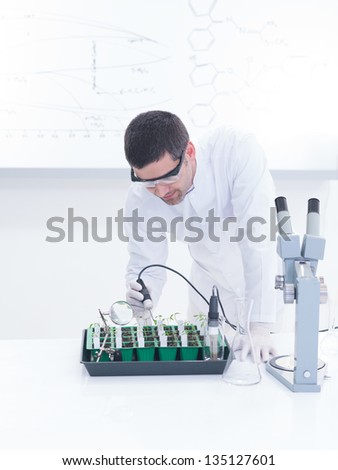 close-up of a man in a chemistry lab conducting a plant experiment on a lab table with lab tools and a whiteboard on tha background