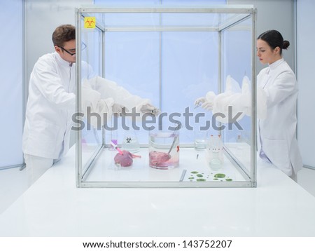 two scientists in the lab, a man and a woman, experimenting on a chunk of raw meat and a dead animal\'s head sunk in a transparent colorless liquid with biological cultures in a sterile chamber