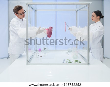 Laboratory workers testing a meat sample inside a sterility chamber working as a team with the man holding the meat while his woman co-worker takes the samples