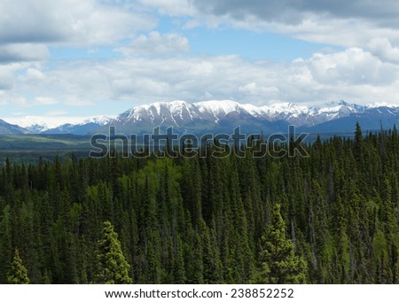 Alaska's Mountains and Forests