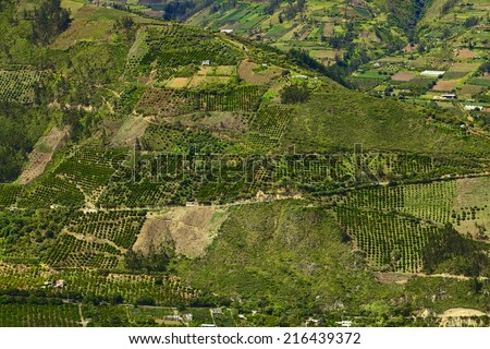 Rural hillside landscape with small farms and orchards along the road between Ambato and Banos in Tungurahua Province in Central Ecuador.