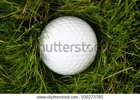 golf ball in the green grass background