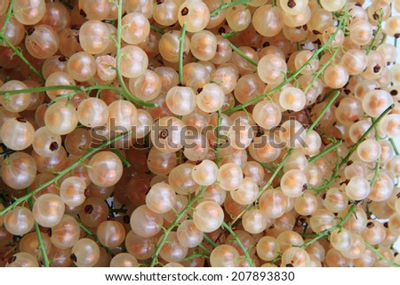 white currant background