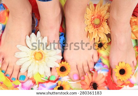 pedicure nails, feet and flowers isolated on the green background