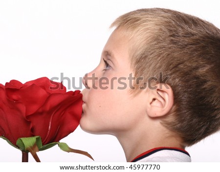 kissing rose