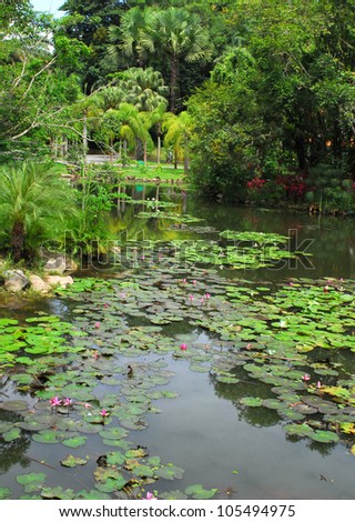 tropical lake with palm and water lilies