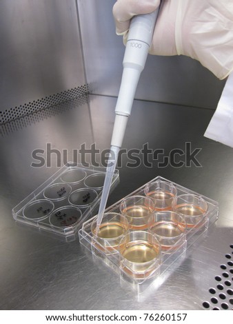 Clean Bench for cell culture experiments in cancer research