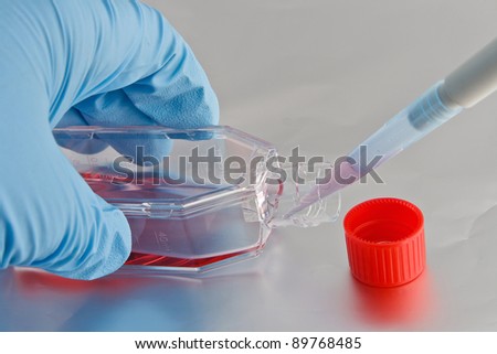 Pipetting of cell culture medium into flask for cancer research experiments in life science laboratory
