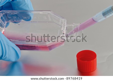 Handling of  cell cultures in biomedical laboratory for cancer research