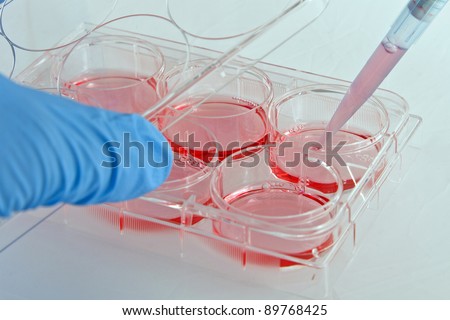Handling of human cell cultures in biomedical research laboratory using 6-well plates