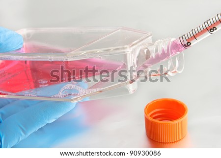 Hand in blue gloves holds 75 ccm cell culture flask with serological pipette during cell culture experiment