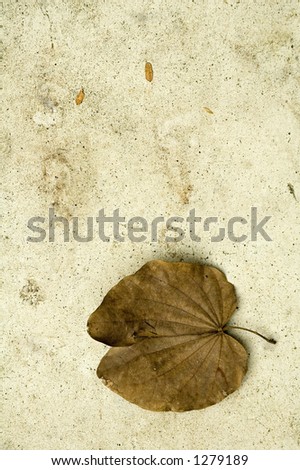 Fallen Leave on Textured Ground