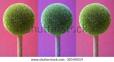 3 artificial colored round trees