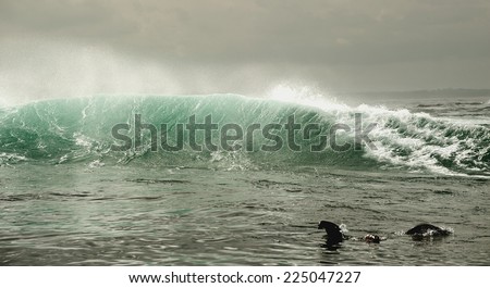 Wave on the surface of the ocean. Wave breaks on a shallow bank