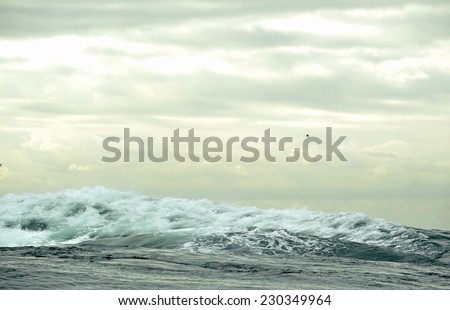 Ocean storm. Wave on the surface of the ocean. Wave breaks on a shallow bank