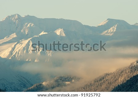 Snowcovered Mountains in  Alaska. Alaska Chilkat Bald Eagle Preserve. Alaska. USA