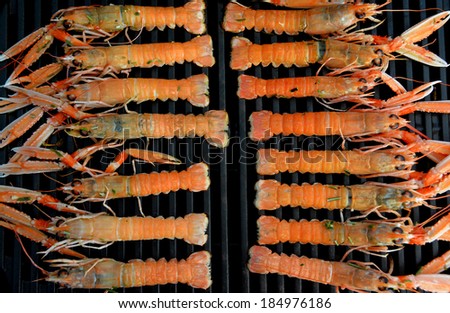 Organized grilled Scampi