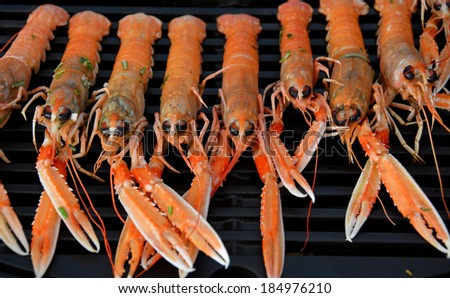 Delicious Grilled Scampi in a row